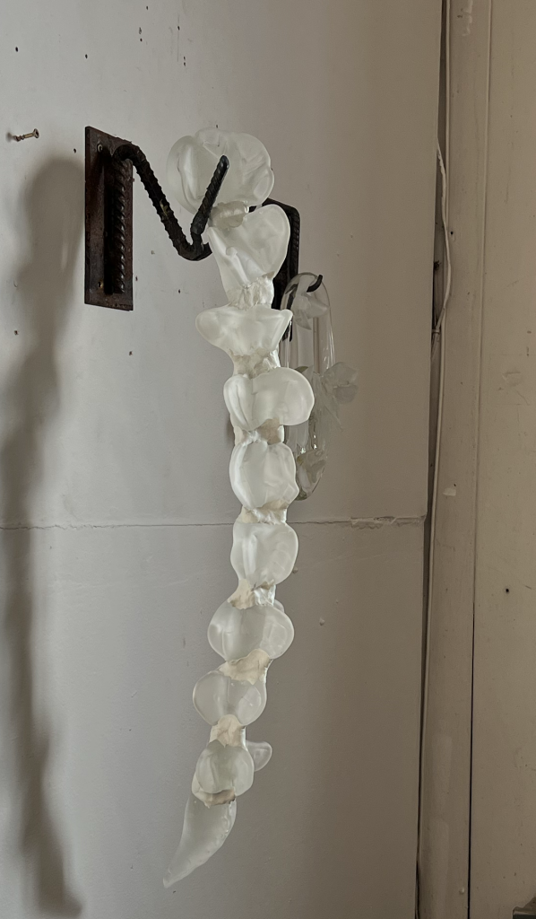 Glass Sculpture, Glass forming, "Who's spine is it anyway?" 2023
24.5" x 4"
